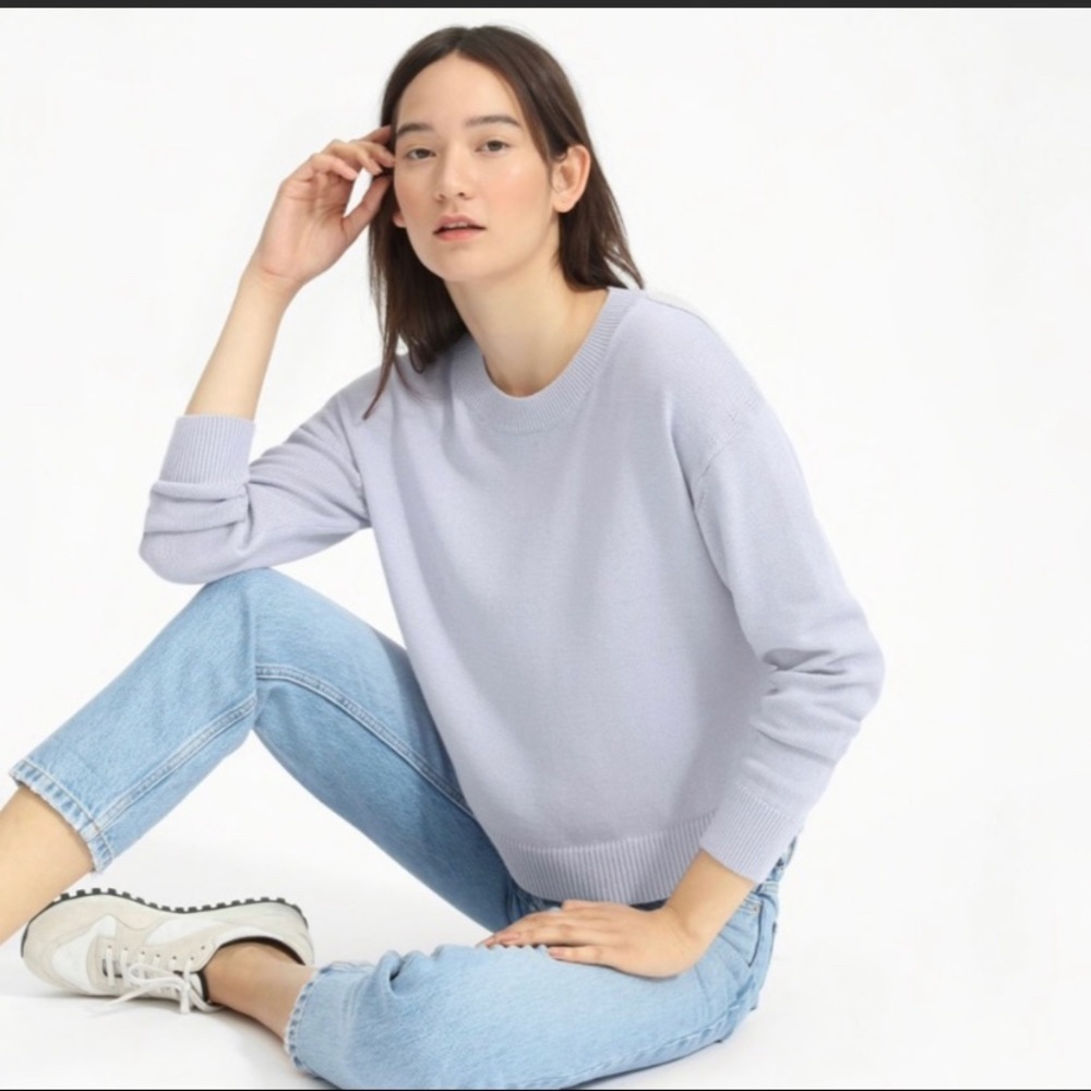 Everlane Cotton Crewneck Sweater